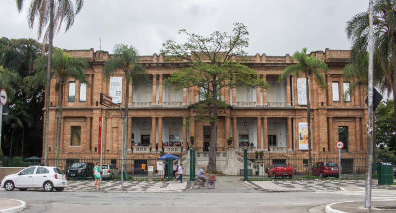 Pinacoteca domingo